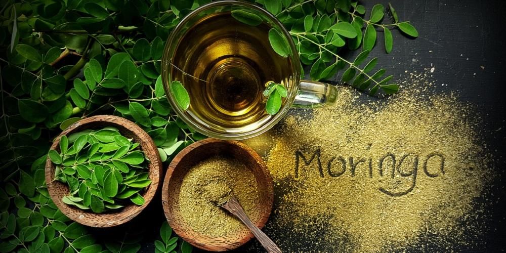 הכירו את היתרונות הרבים של תה עלי מורינגה לבריאות