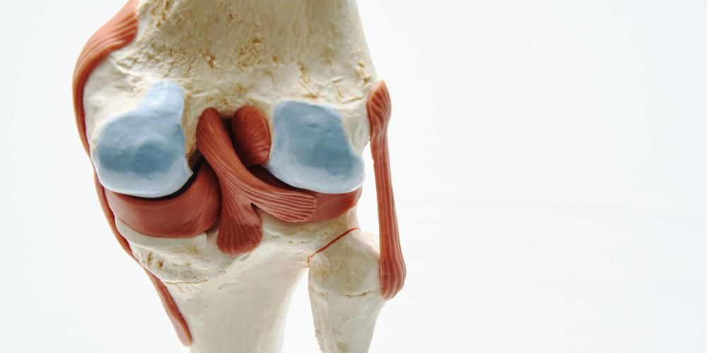 ¿Qué son los ligamentos y en qué se diferencian de los tendones?