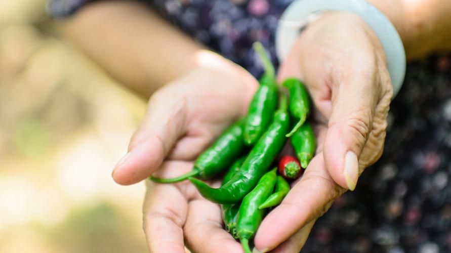 5 módszer, hogy megszabaduljon a csípőstől a kezében a chili miatt, amelyet ki kell próbálni