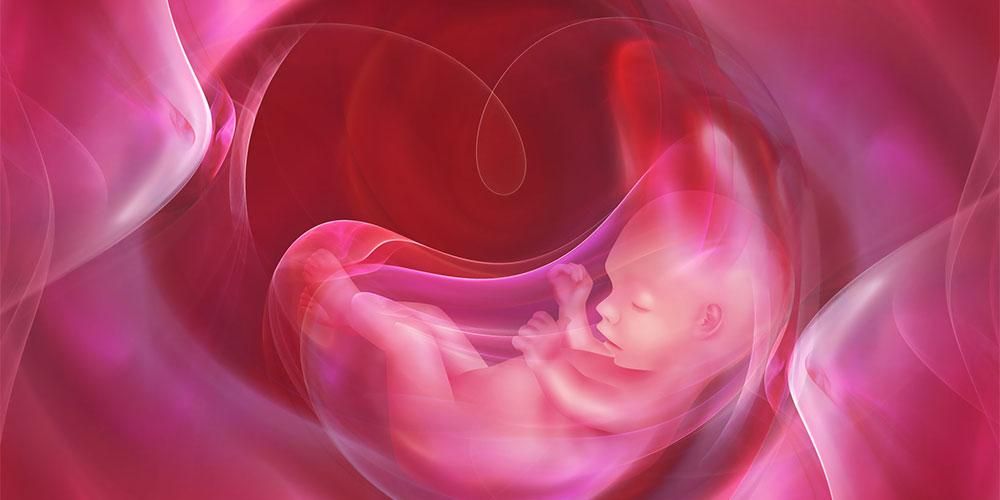 32 тижні Вік плода, як відбувався внутрішньоутробний розвиток і зміни в організмі матері?