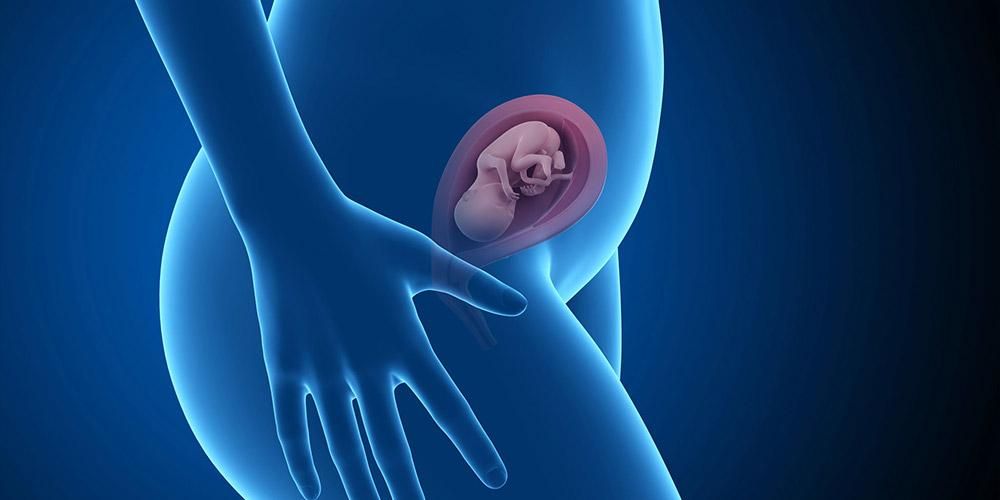 21 weken zwanger: foetale ontwikkeling en zwangerschapsveranderingen
