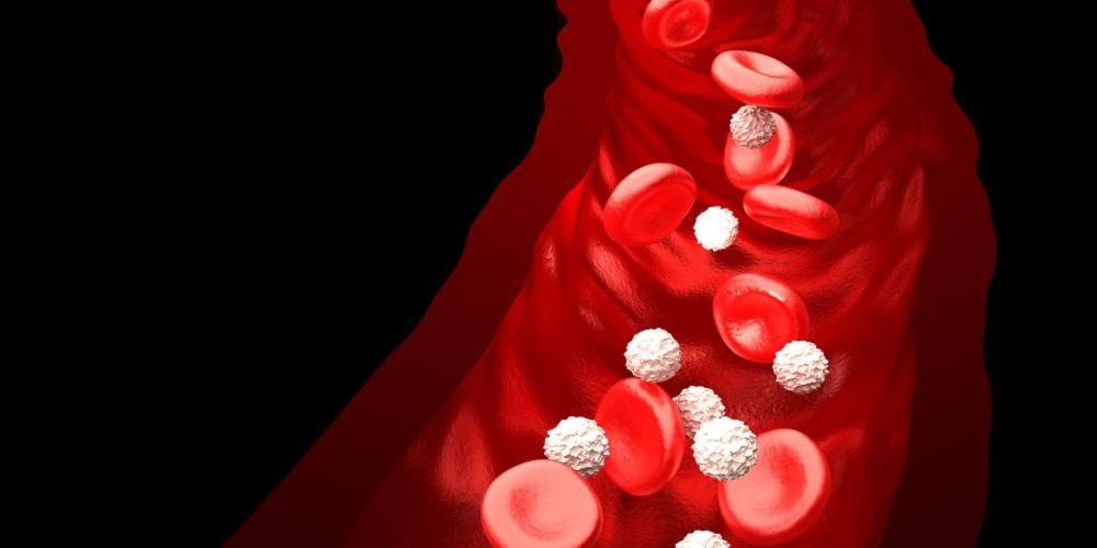 Overtollige witte bloedcellen een teken van ziekte, wat veroorzaakt het?