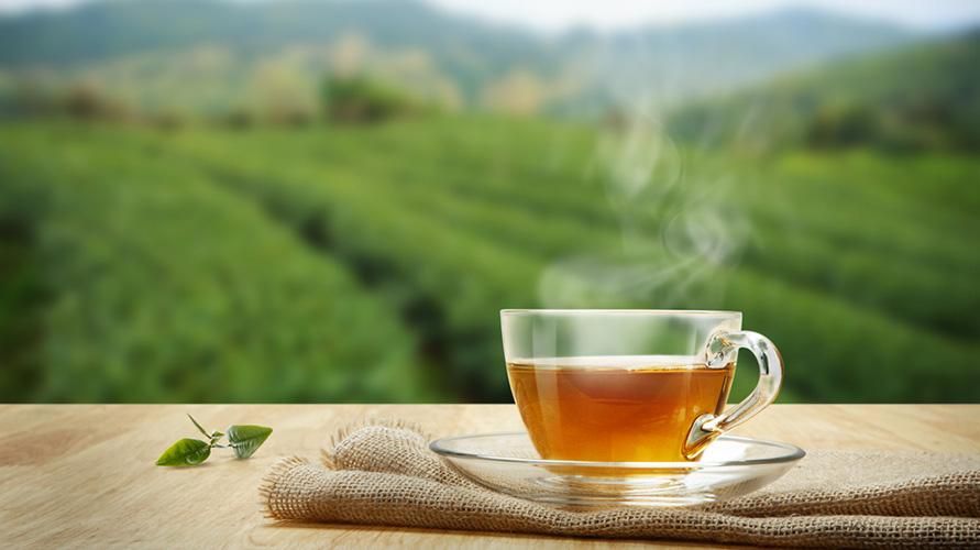 למרות טעמו תפל, היתרונות של שתיית תה מר יכולים לעזור לגוף להימנע ממחלות