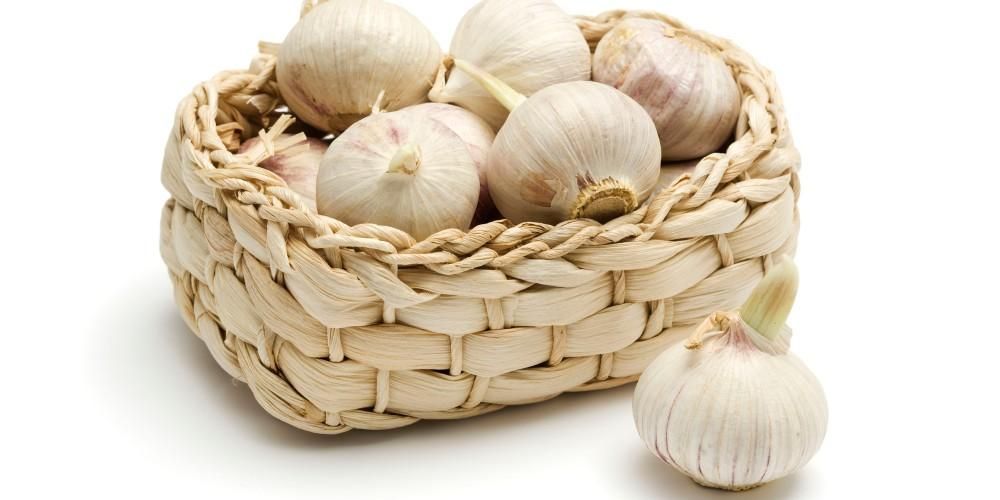 A Single fokhagyma (Garlic Lanang) 7 előnye, amelyet nem szabad kihagyni