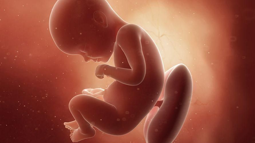 När du är gravid 29 veckor, här är tillståndet för den blivande mamman och fostret