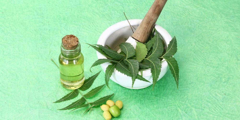 A neem levelek 7 előnyei és mellékhatásai