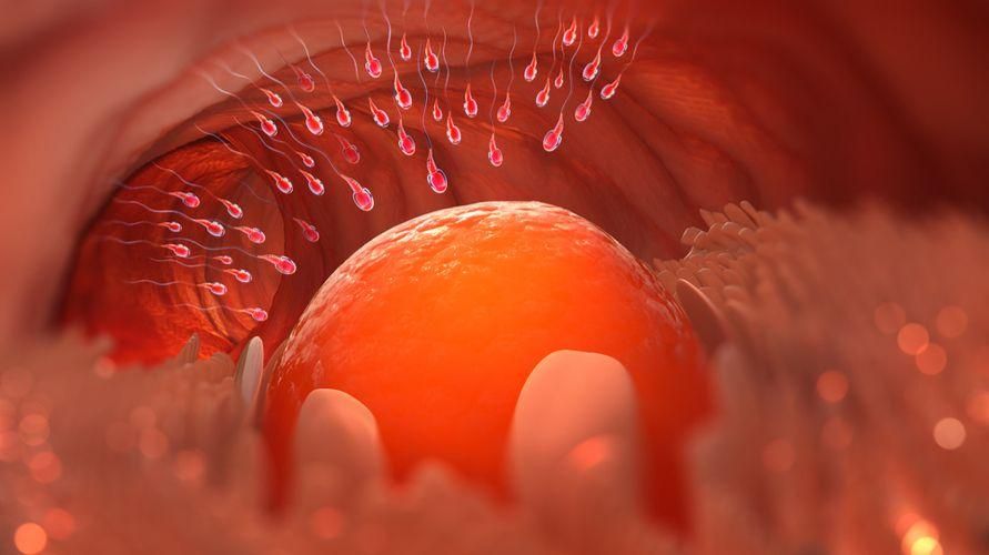 3 causes de sperme qui n'entrent pas dans les ovaires que les hommes doivent connaître
