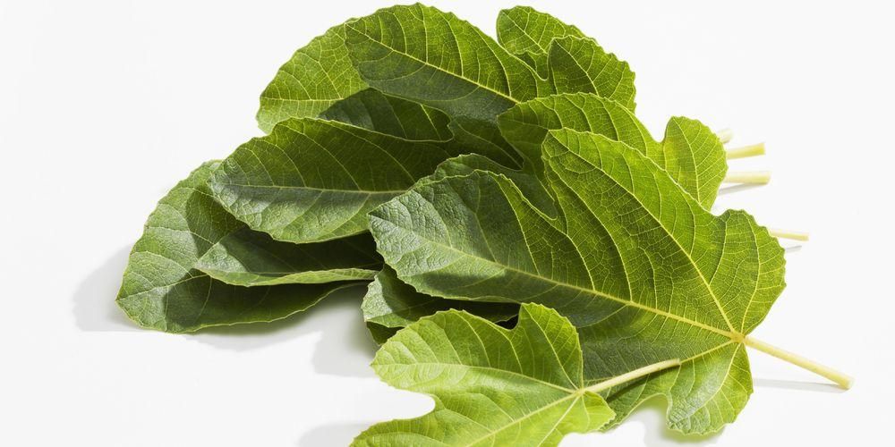 Різні переваги олов'яного листя корисні для здоров'я
