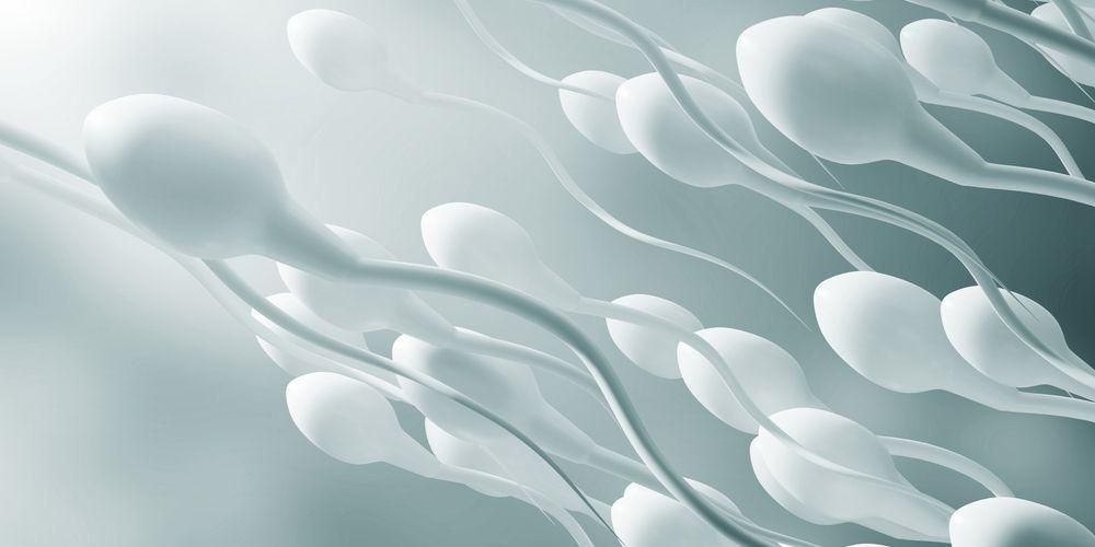 Normozoospermija, grupa plodnih spermija za postizanje trudnoće