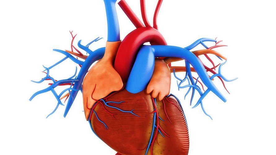 CAD ist eine der tödlichsten Herzkrankheiten