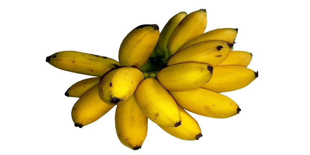 דע את הדברים הבאים לפני רכישת בננות לתינוקות