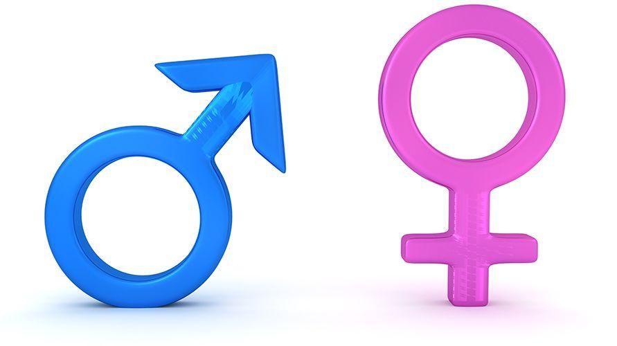 Kennen Sie den Begriff Cisgender, was ist der Unterschied zu Transgender?