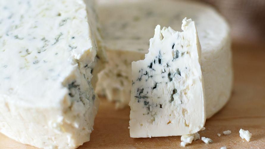 Varios tipos de queso bajo en grasa bueno para la salud
