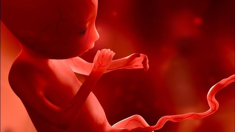 태아가 자궁에서 활발하게 움직이지 않는 원인과 대처법