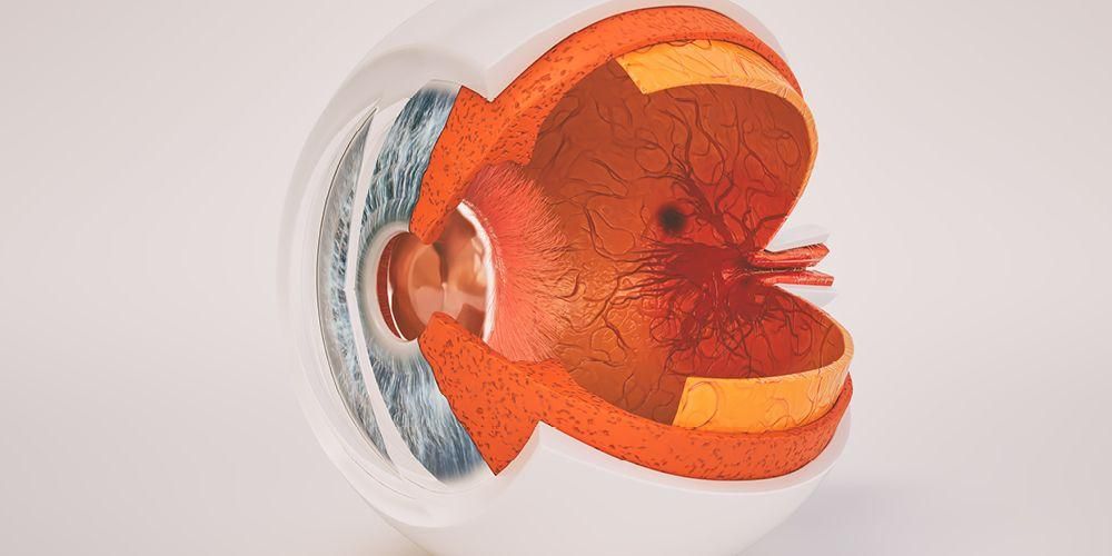 Upoznajte anatomiju dijelova ljudskog oka i njegovu funkciju