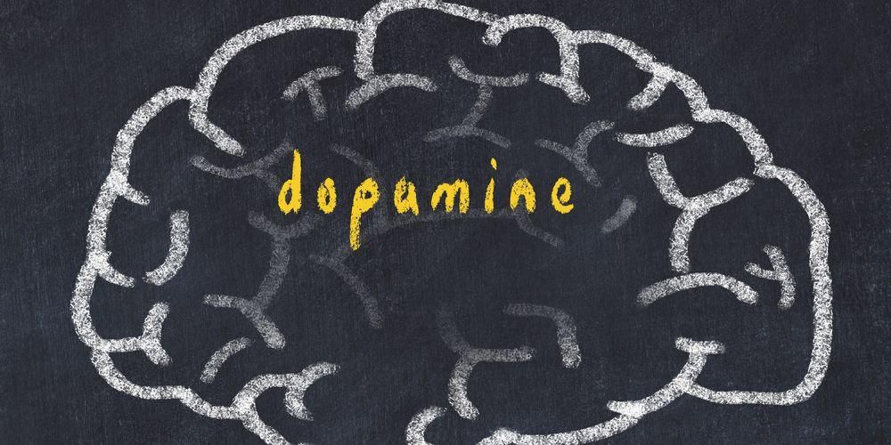 Lernen Sie das Hormon Dopamin kennen, den Glücksstoff des Gehirns