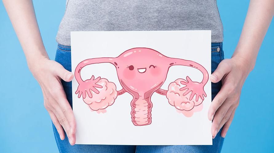 유산 후 자궁이 깨끗하다는 징후, 징후는 무엇입니까?