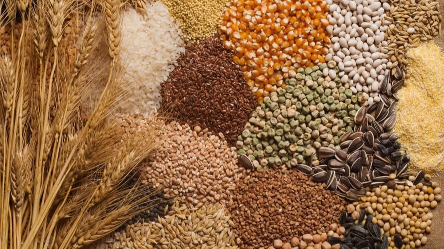 Razne vrste žitarica i njihove dobrobiti za zdravlje