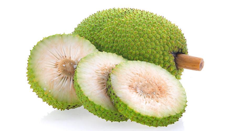Íme a Breadfruit 8 jótékony hatása, amelyeket egészségre teszteltek