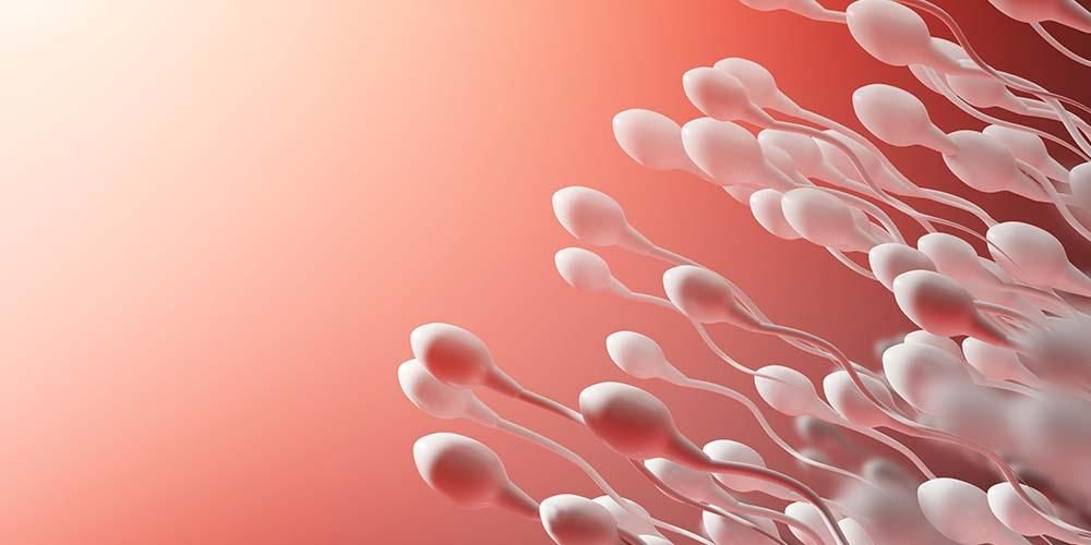Астенозооспермия - это когда сперма не плавает, как с этим бороться?