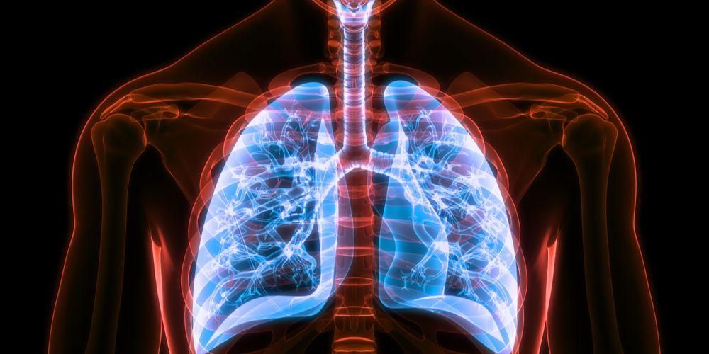 호흡 과정과 호흡 과정을 위협하는 질병 이해하기