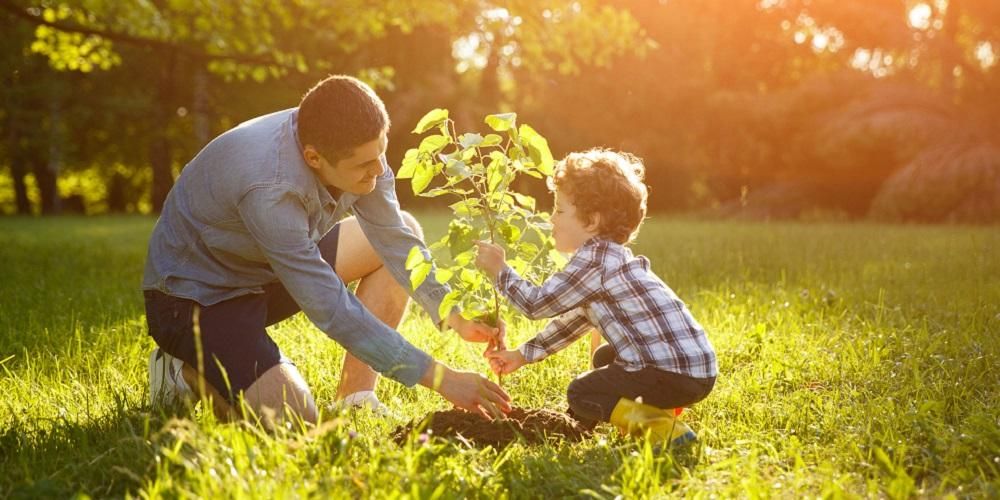 Prednosti sadnje drveća za zdravlje tijela i okoliša