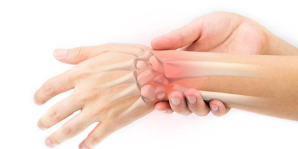 손목 뼈의 기능 알기