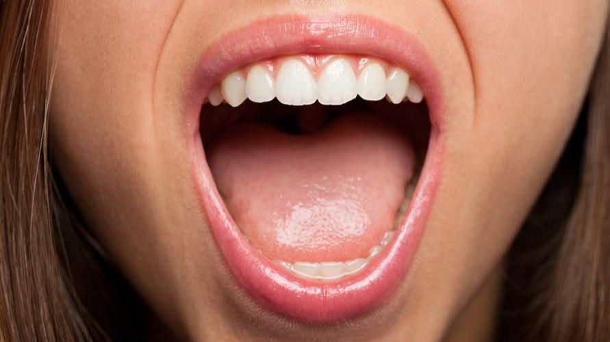 היכרות עם האנטומיה של הפה ומחלותיו השונות