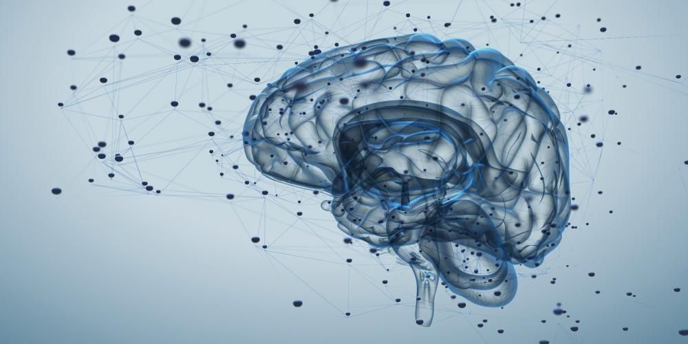 5 Arten von Gehirnwellen und wann sie erscheinen