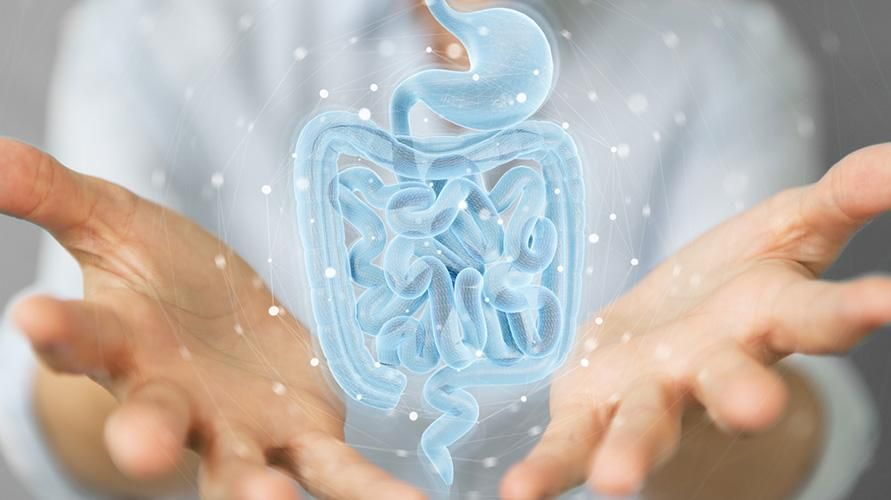 Cunoașteți tipurile de glande digestive și enzimele pe care le produc