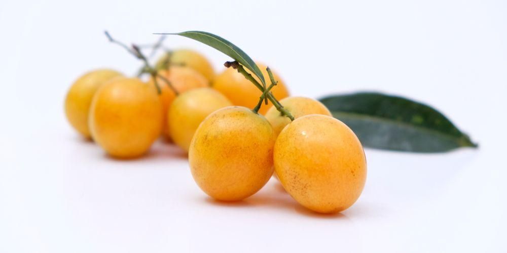 Дізнайтеся про користь фруктів гандарії для здоров’я та поживного вмісту