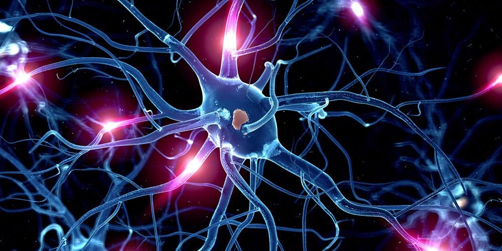 Förvecklingarna hos sensoriska nerver och störningar som kan påverka dem
