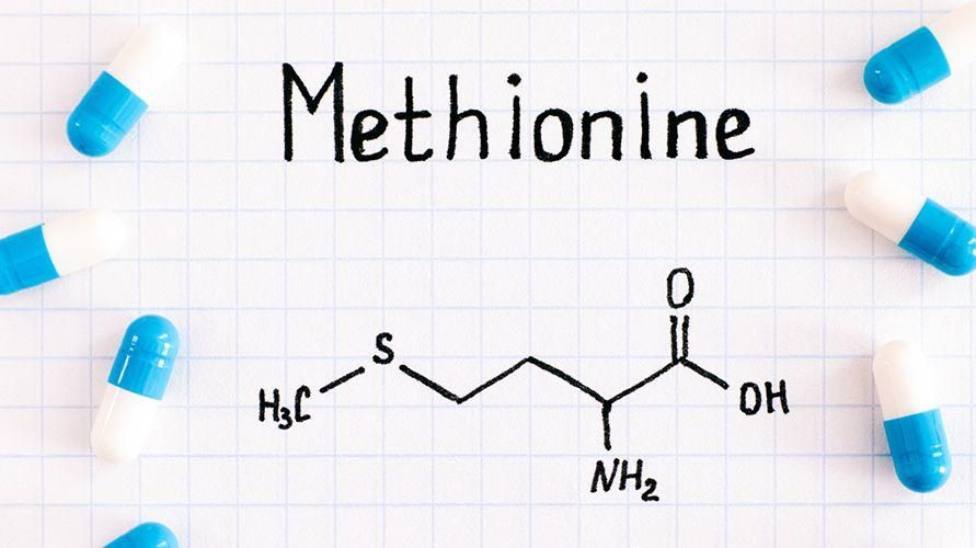 La méthionine est un acide aminé essentiel, sachez sa fonction pour le corps