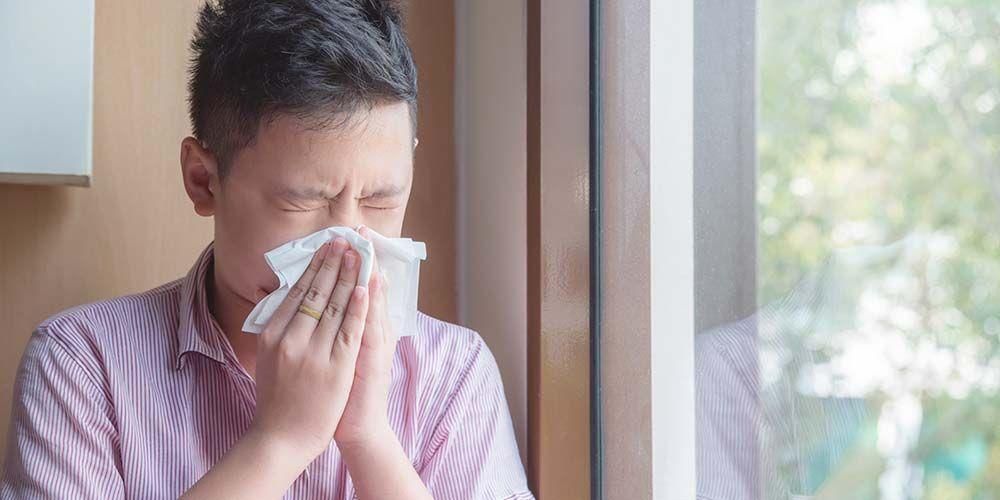 דעו כיצד להתגבר על אלרגיות לאבק ביעילות