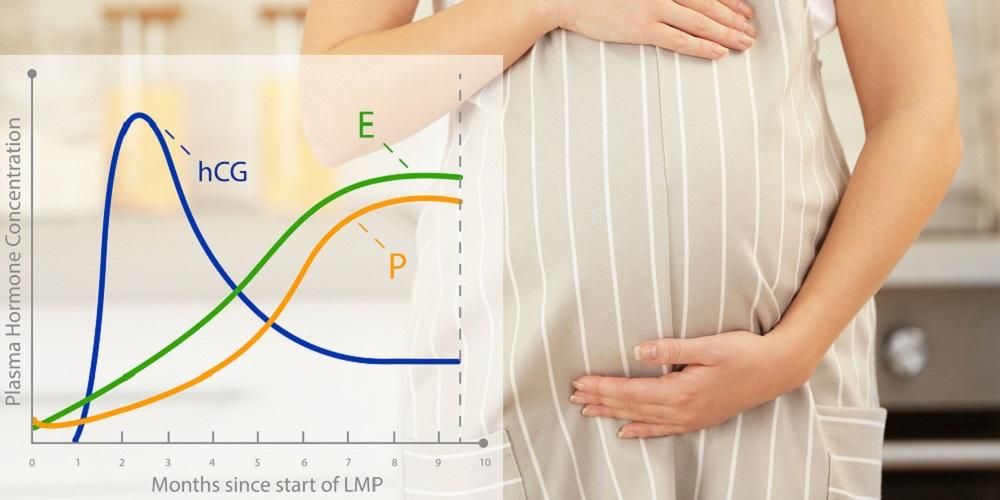 Prepoznajte učinak razine hCG hormona tijekom trudnoće za trudnice