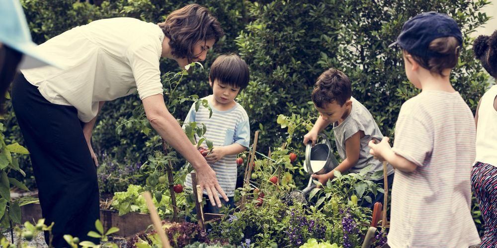 Tanulj játék közben a Nature School-ban, itt vannak az előnyei