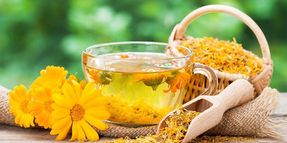 Lär känna Calendula och dess 7 hudhälsofördelar