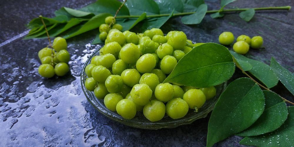 Vorteile von Cermai Fruit für die Gesundheit, mehr als nur eingelegt