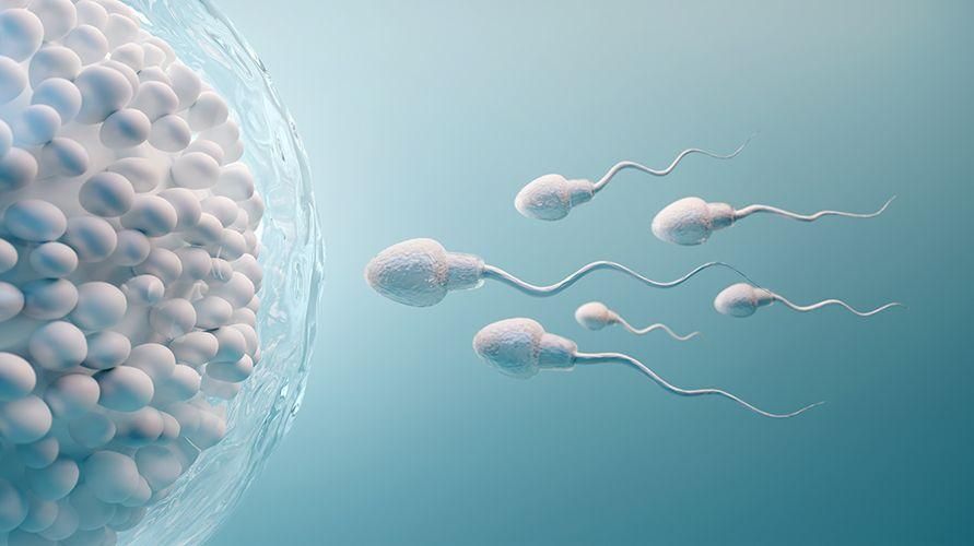 Observando el contenido de esperma y sus beneficios