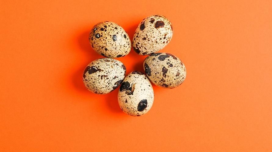 Правда ли, что содержание перепелиных яиц вызывает повышенный уровень холестерина?