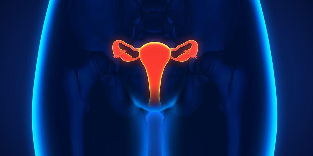 Важность роли и функции эндометрия в организме женщины