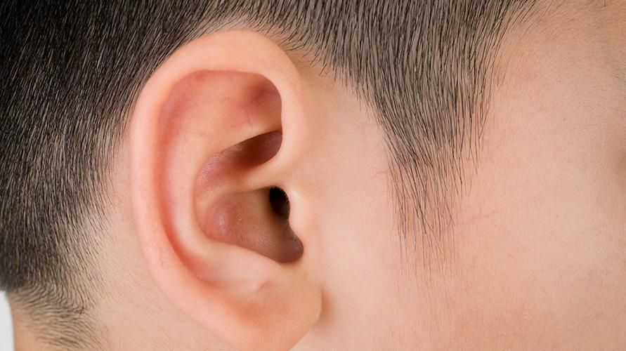 Удивительно, как ухо работает при прослушивании