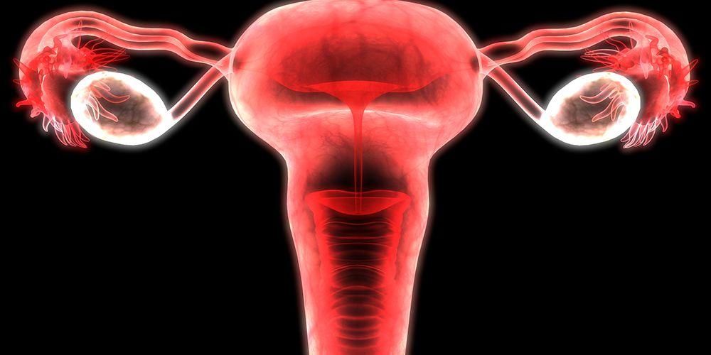 자궁 폴립과 자궁 폴립은 임신에 어떤 영향을 줍니까?