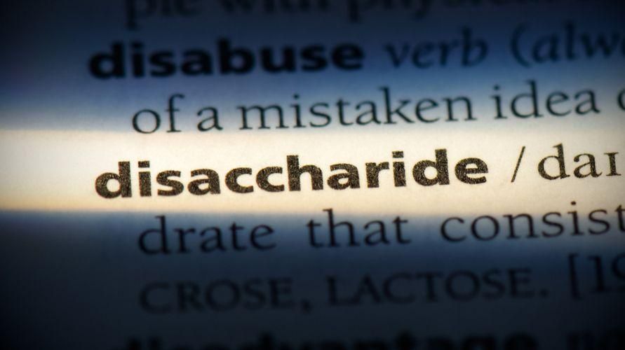 Über Disaccharide, ausgehend von Beispielen zu Funktionen und Vorteilen