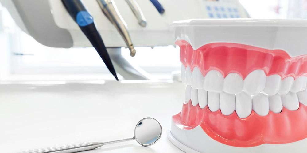 인간 치아의 해부학과 기능 알기