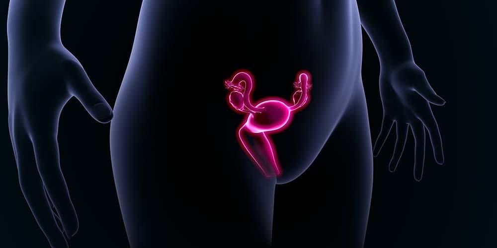 일어날 수 있는 거꾸로 된 자궁(복구 자궁)에 대해 알아보기