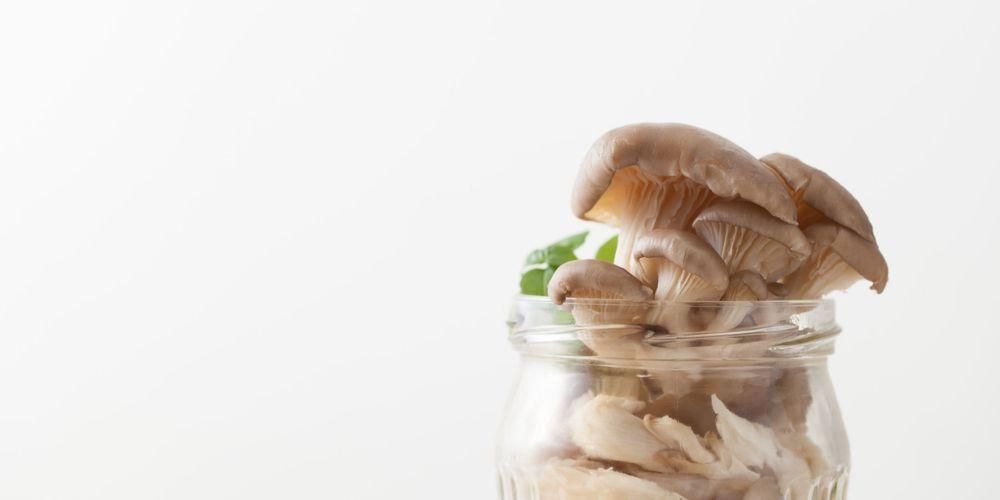 건강을 위한 굴 버섯 효능, 함유된 영양소 인식