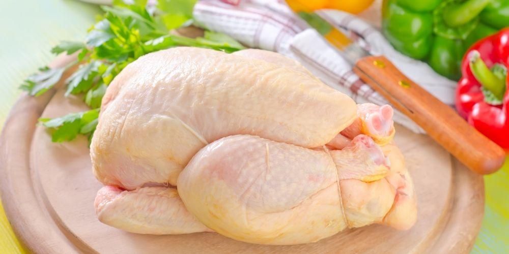 Bio csirke és probiotikus csirke, mik az előnyei?