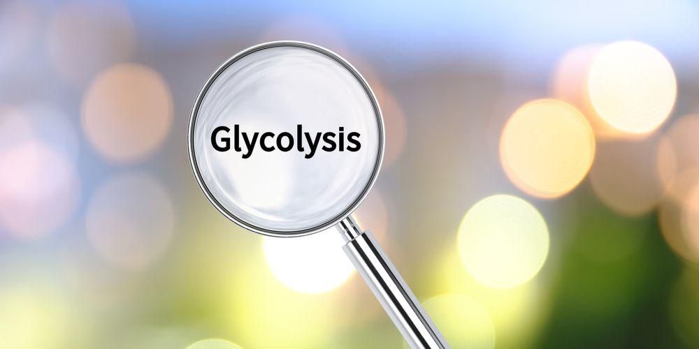 Cunoașteți procesul de glicoliză și bolile care îl însoțesc