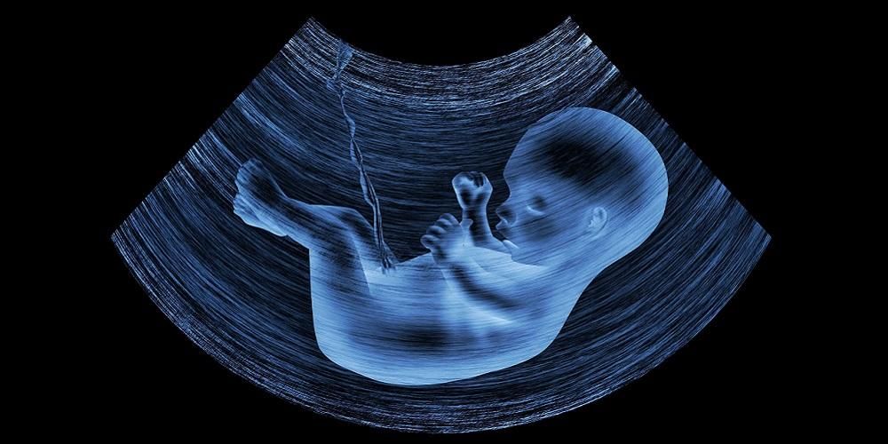 Razvoj fetusa 10 tjedana trudnoće koji se ne može propustiti